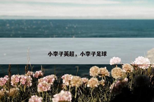 小李子英超，小李子足球