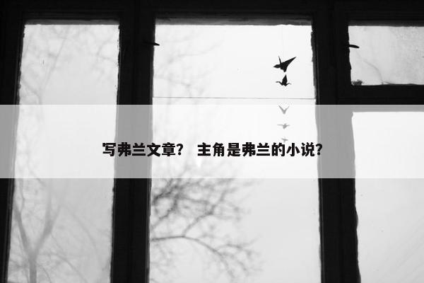 写弗兰文章？ 主角是弗兰的小说？