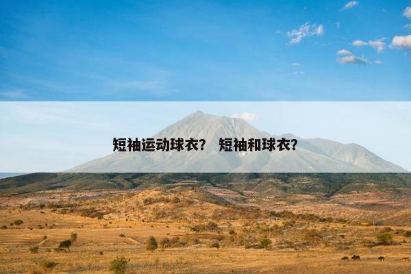 短袖运动球衣？ 短袖和球衣？