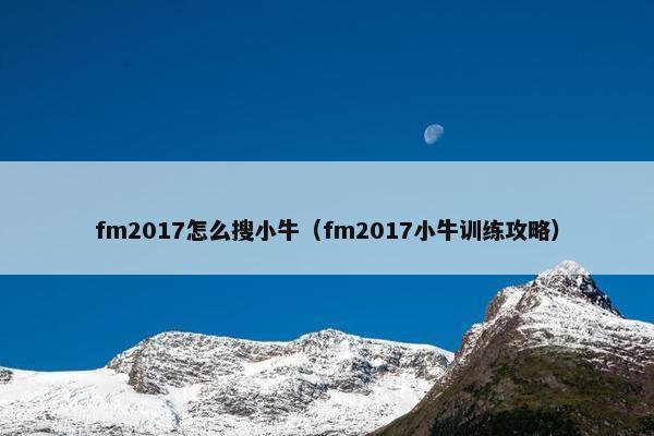 fm2017怎么搜小牛（fm2017小牛训练攻略）