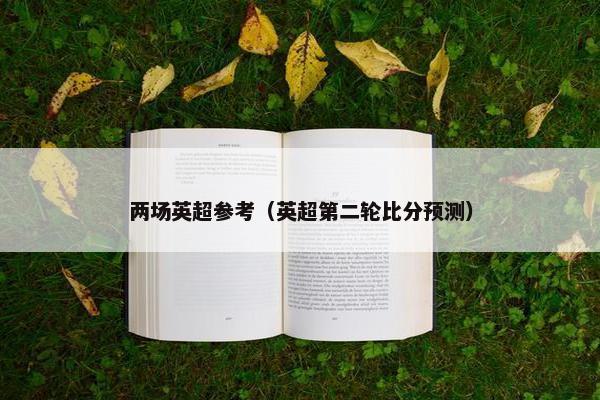 两场英超参考（英超第二轮比分预测）