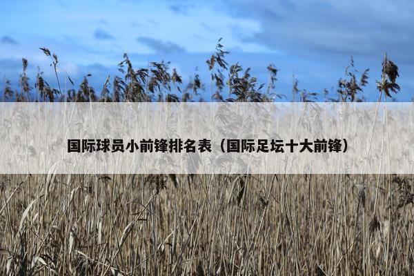 国际球员小前锋排名表（国际足坛十大前锋）