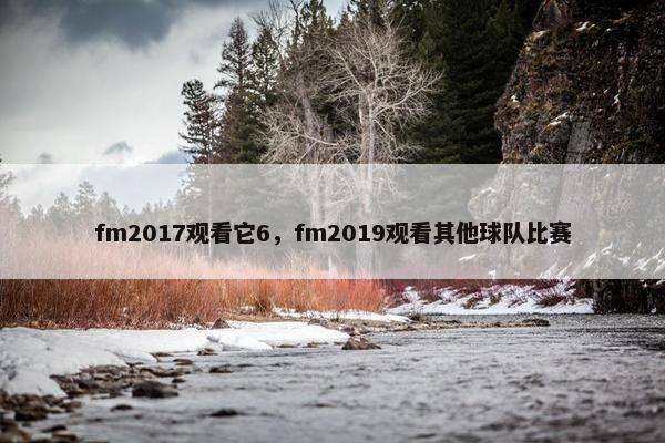 fm2017观看它6，fm2019观看其他球队比赛