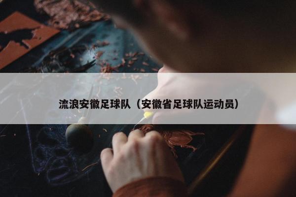 流浪安徽足球队（安徽省足球队运动员）