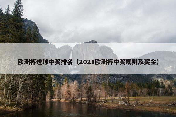 欧洲杯进球中奖排名（2021欧洲杯中奖规则及奖金）