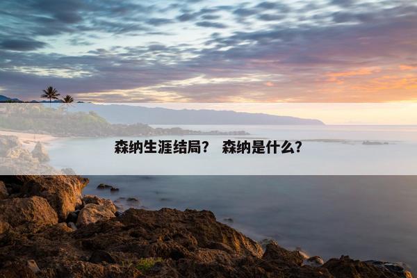 森纳生涯结局？ 森纳是什么？
