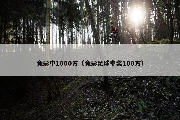 竞彩中1000万（竞彩足球中奖100万）