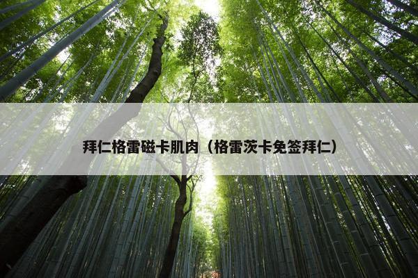 拜仁格雷磁卡肌肉（格雷茨卡免签拜仁）
