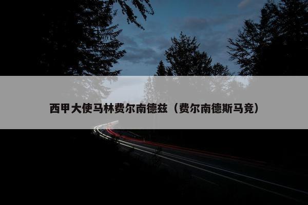 西甲大使马林费尔南德兹（费尔南德斯马竞）