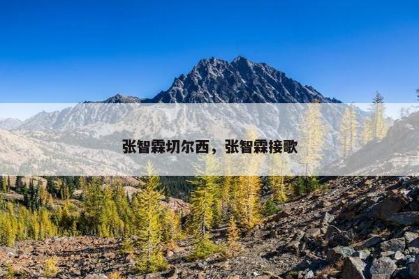 张智霖切尔西，张智霖接歌
