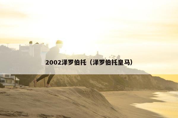 2002泽罗伯托（泽罗伯托皇马）
