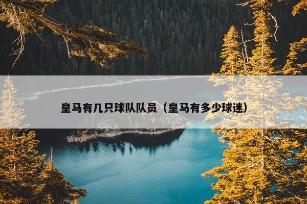 皇马有几只球队队员（皇马有多少球迷）