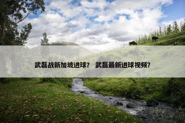 武磊战新加坡进球？ 武磊最新进球视频？