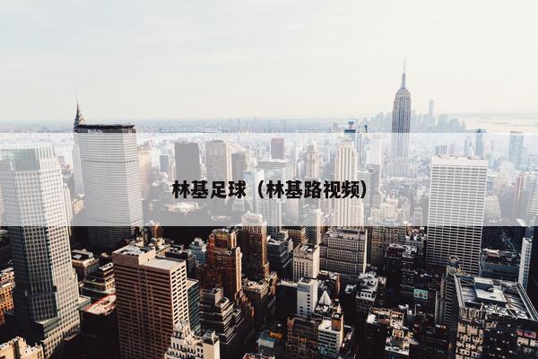 林基足球（林基路视频）
