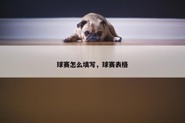 球赛怎么填写，球赛表格