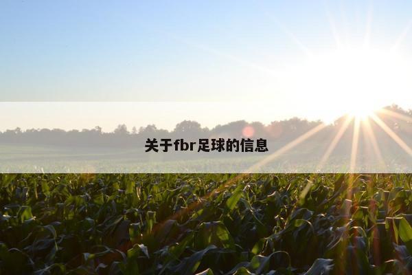 关于fbr足球的信息