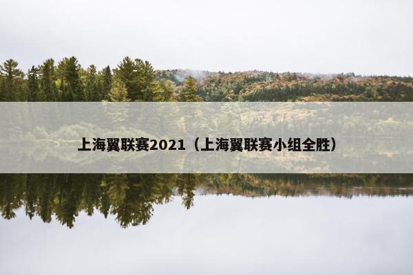 上海翼联赛2021（上海翼联赛小组全胜）
