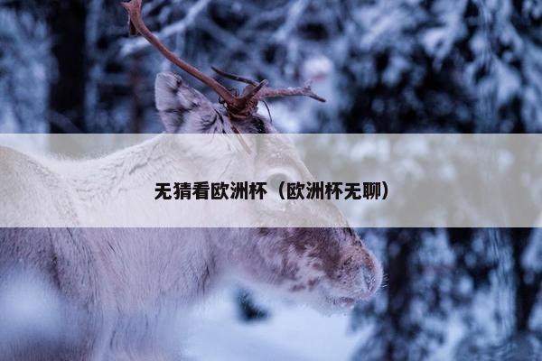 无猜看欧洲杯（欧洲杯无聊）