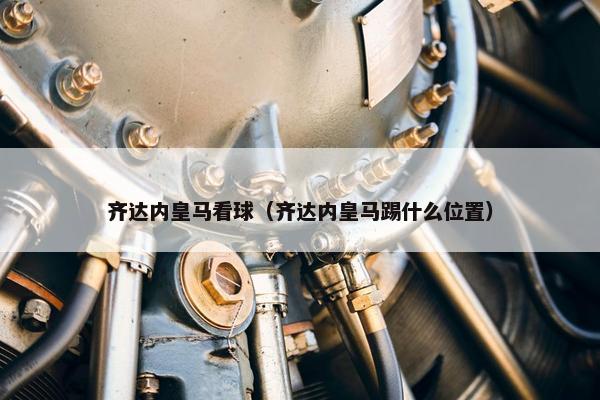 齐达内皇马看球（齐达内皇马踢什么位置）