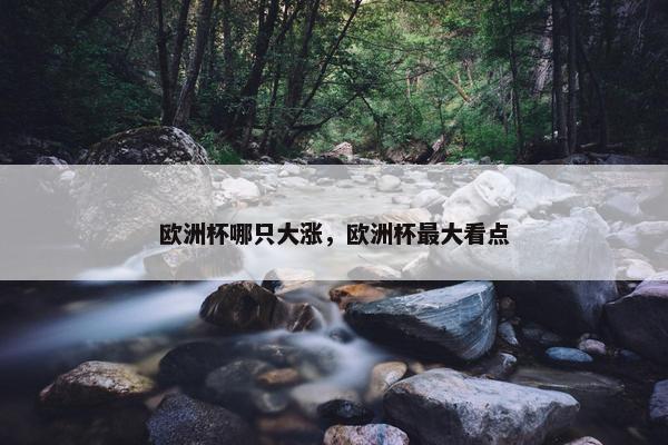 欧洲杯哪只大涨，欧洲杯最大看点