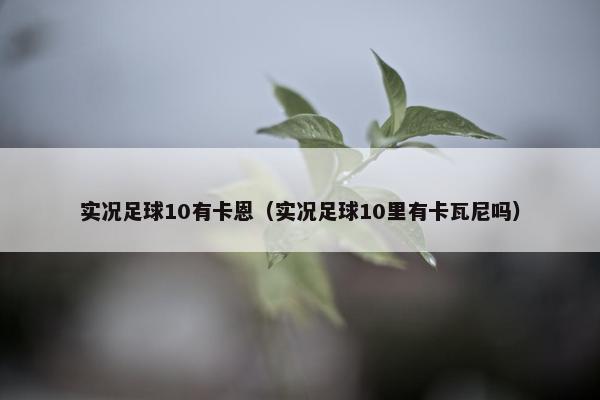 实况足球10有卡恩（实况足球10里有卡瓦尼吗）