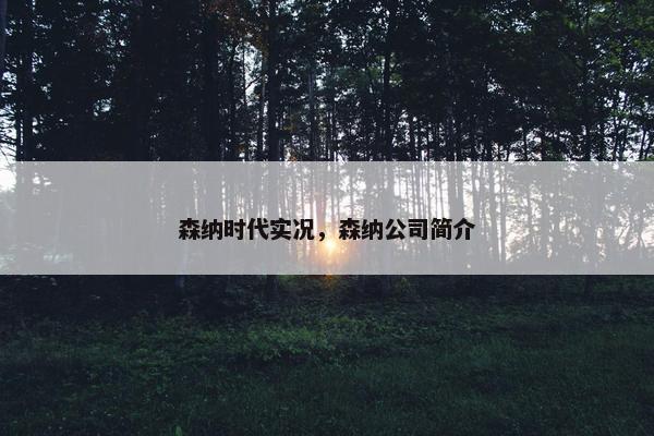 森纳时代实况，森纳公司简介