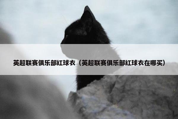 英超联赛俱乐部红球衣（英超联赛俱乐部红球衣在哪买）