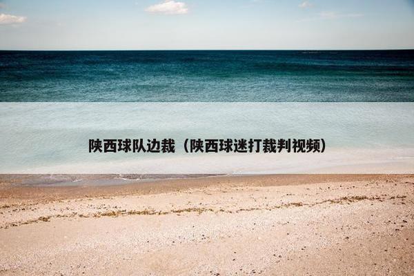 陕西球队边裁（陕西球迷打裁判视频）