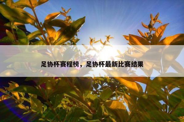 足协杯赛程榜，足协杯最新比赛结果