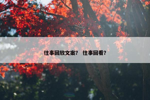 往事回放文案？ 往事回看？