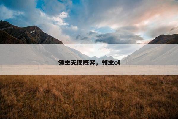 领主天使阵容，领主ol