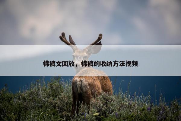 棉裤文回放，棉裤的收纳方法视频