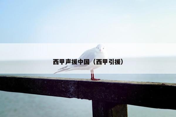 西甲声援中国（西甲引援）