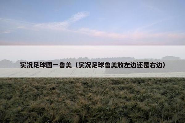 实况足球国一鲁美（实况足球鲁美放左边还是右边）