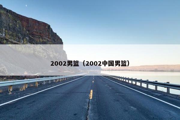 2002男篮（2002中国男篮）