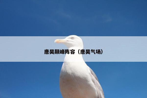 唐昊颠峰阵容（唐昊气场）