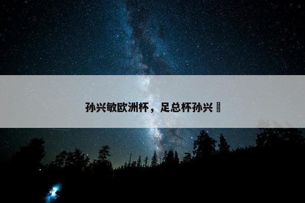 孙兴敏欧洲杯，足总杯孙兴慜