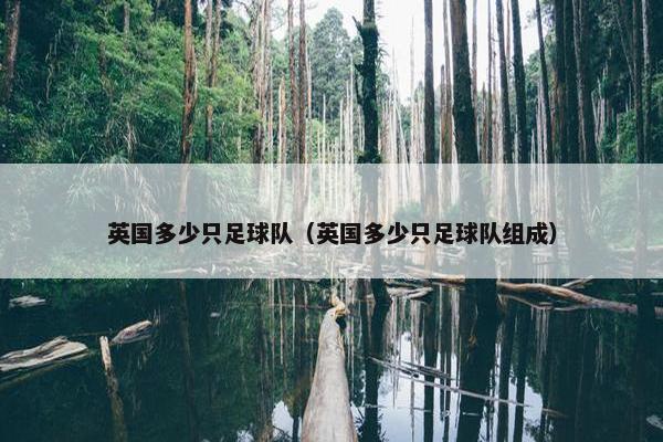 英国多少只足球队（英国多少只足球队组成）