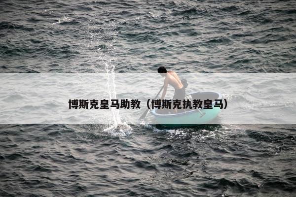 博斯克皇马助教（博斯克执教皇马）