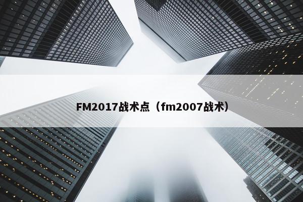 FM2017战术点（fm2007战术）