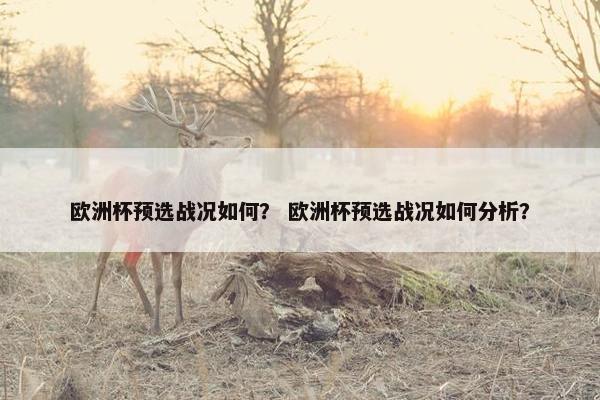 欧洲杯预选战况如何？ 欧洲杯预选战况如何分析？