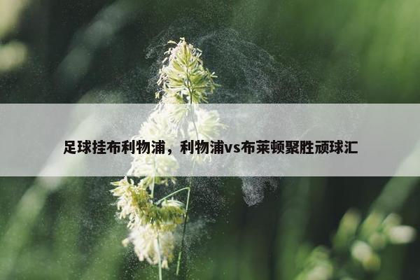 足球挂布利物浦，利物浦vs布莱顿聚胜顽球汇