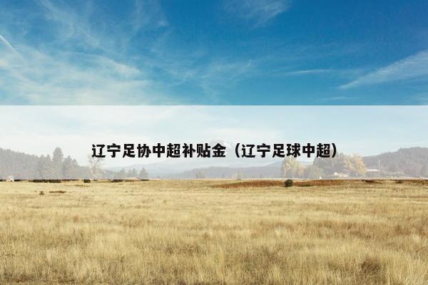 辽宁足协中超补贴金（辽宁足球中超）