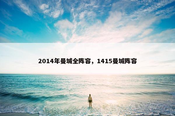 2014年曼城全阵容，1415曼城阵容