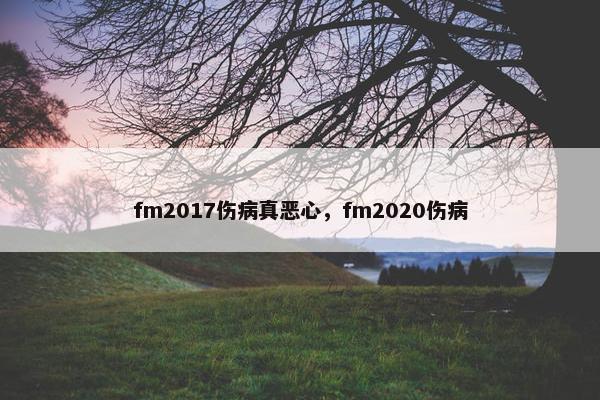 fm2017伤病真恶心，fm2020伤病
