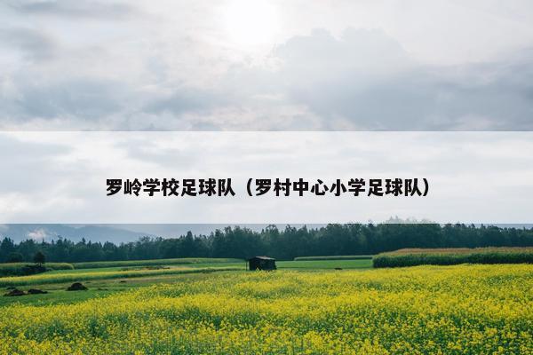 罗岭学校足球队（罗村中心小学足球队）