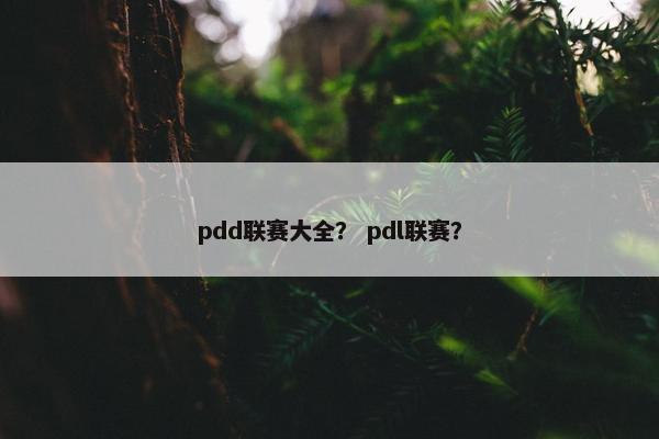 pdd联赛大全？ pdl联赛？