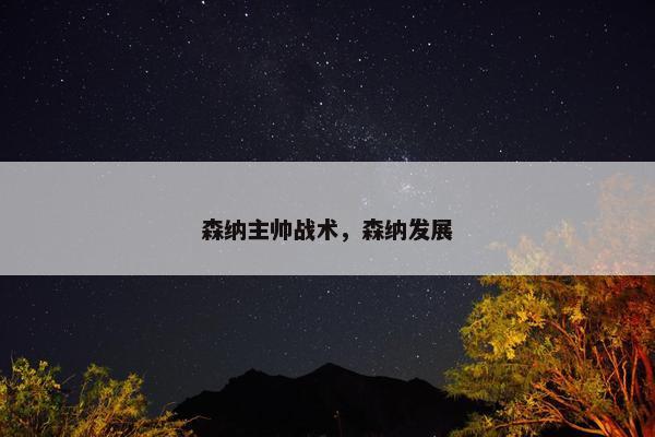 森纳主帅战术，森纳发展