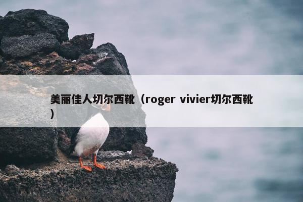 美丽佳人切尔西靴（roger vivier切尔西靴）