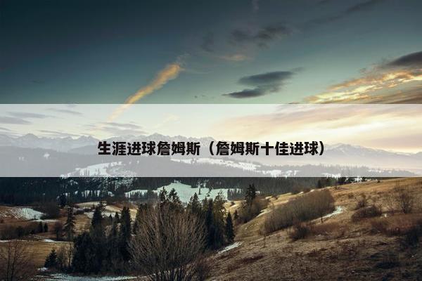 生涯进球詹姆斯（詹姆斯十佳进球）